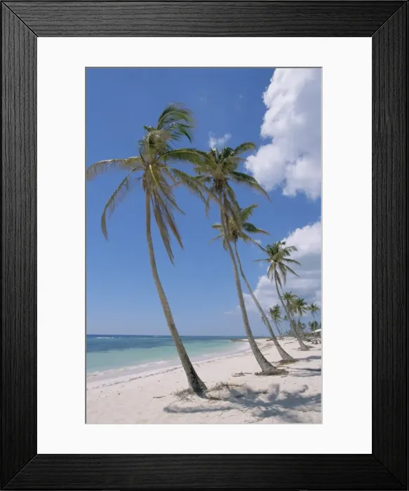 Framed Print : Saona Island, south coast, Dominican Republic, Central America Framed Print : Saona Island, south coast, Dominican Republic, Central America