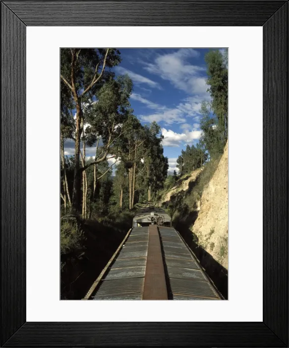 Framed Print : View of trees from the roof of the train from Alausi to Riobamba, Ecuador, South America Framed Print : View of trees from the roof of the train from Alausi to Riobamba, Ecuador, South America