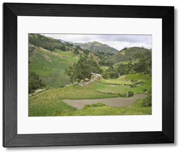 Framed Print : Maize fields and farm of indigenous Canari people near Inca ruins, at elevation of 3230m Framed Print : Maize fields and farm of indigenous Canari people near Inca ruins, at elevation of 3230m