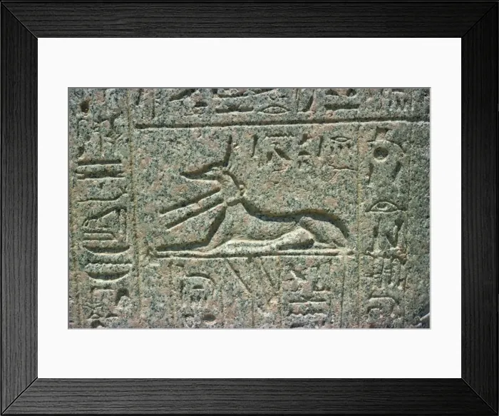 Framed Print : Memphis, Egypt, North Africa, Africa Framed Print : Memphis, Egypt, North Africa, Africa
