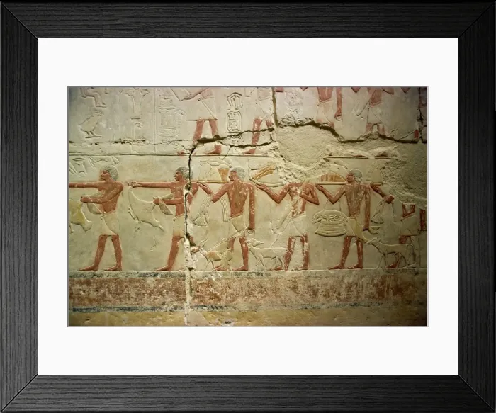 Framed Print : Painted reliefs in mastaba (tomb), Saqqara, Egypt, North Africa, Africa Framed Print : Painted reliefs in mastaba (tomb), Saqqara, Egypt, North Africa, Africa
