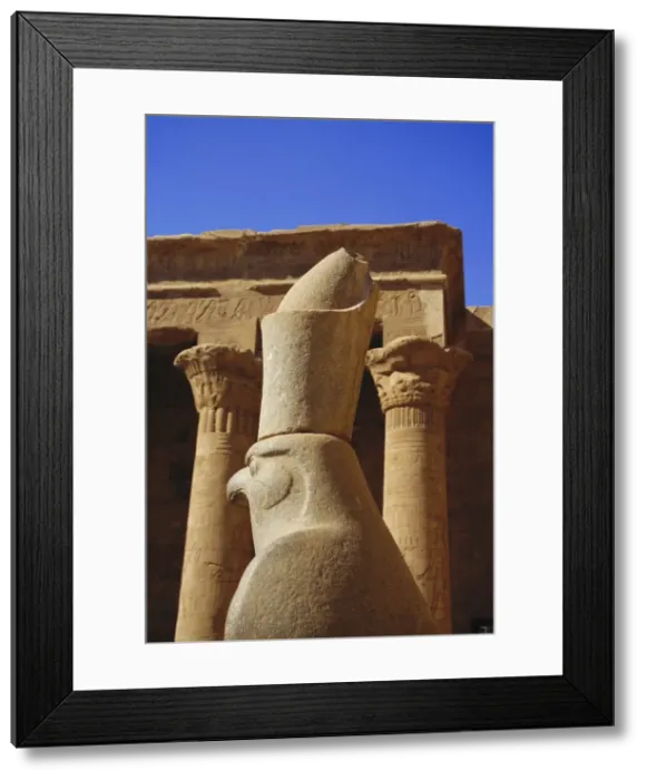 Framed Print : Falcon headed Horus statue, Temple of Horus, Edfu, Egypt, North Africa Framed Print : Falcon headed Horus statue, Temple of Horus, Edfu, Egypt, North Africa
