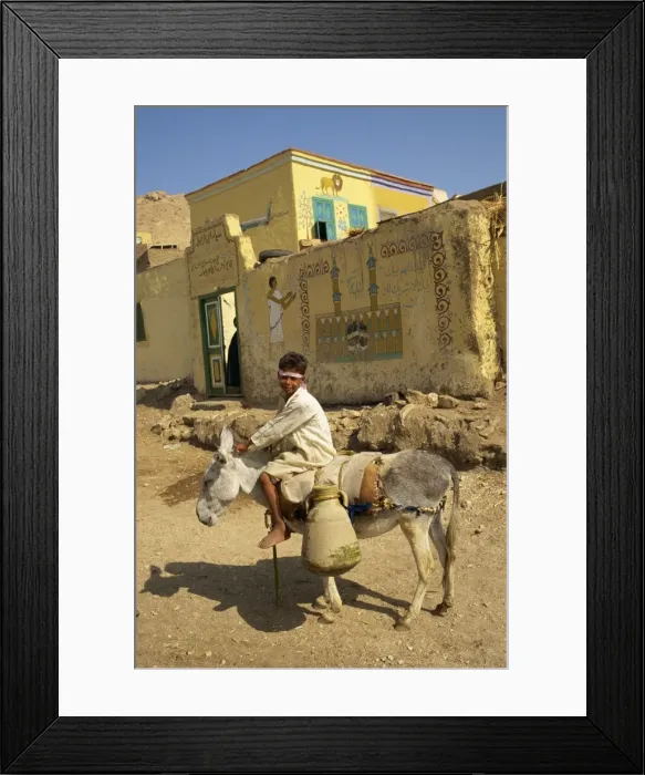 Framed Print : Boy transporting water on donkey, Egypt, North Africa, Africa Framed Print : Boy transporting water on donkey, Egypt, North Africa, Africa