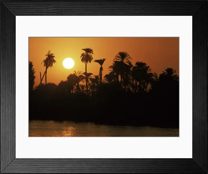 Framed Print : Sun setting behind palms across the River Niles west bank, Luxor, Thebes Framed Print : Sun setting behind palms across the River Niles west bank, Luxor, Thebes