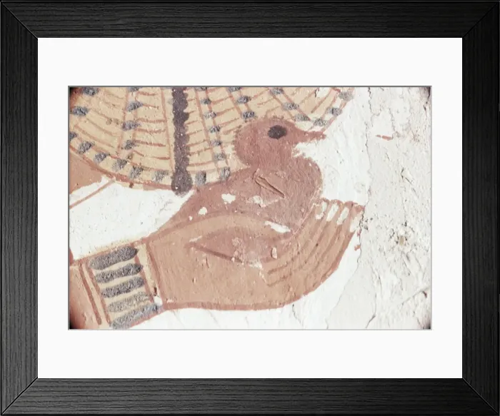 Framed Print : Wall painting of bird in hand in the tomb of Nakht, Minister of Agriculture in the reign of Tutmosis IV, Valley of the Nobles, Thebes, UNESCO World Heritage Site, Egypt, North Framed Print : Wall painting of bird in hand in the tomb of Nakht, Minister of Agriculture in the reign of Tutmosis IV, Valley of the Nobles, Thebes, UNESCO World Heritage Site, Egypt, North