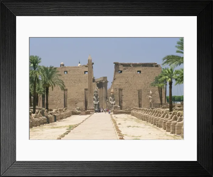 Framed Print : Avenue of sphinxes looking towards statues of Ramses II, Luxor Temple, Luxor Framed Print : Avenue of sphinxes looking towards statues of Ramses II, Luxor Temple, Luxor