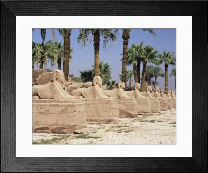 Framed Print : Avenue of sphinxes, Luxor Temple, Luxor, Thebes, UNESCO World Heritage Site Framed Print : Avenue of sphinxes, Luxor Temple, Luxor, Thebes, UNESCO World Heritage Site