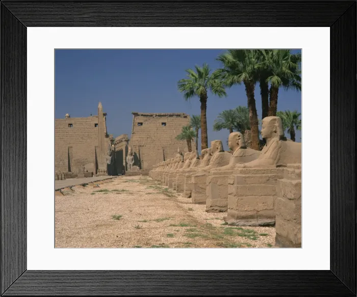 Framed Print : The Avenue of Sphinxes, leading to the Colossi of Ramses II, guarding Luxor Temple Framed Print : The Avenue of Sphinxes, leading to the Colossi of Ramses II, guarding Luxor Temple
