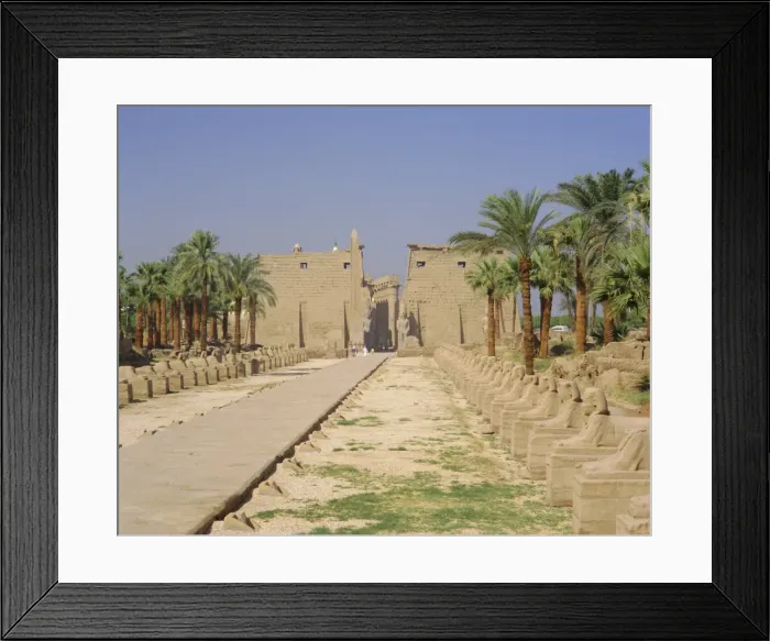 Framed Print : Avenue of Sphinxes and statues of Ramses II, Luxor Temple, Luxor, Egypt Framed Print : Avenue of Sphinxes and statues of Ramses II, Luxor Temple, Luxor, Egypt