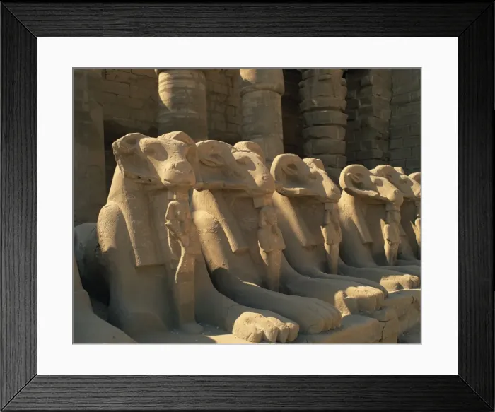 Framed Print : Close-up of the ram-headed sphinxes of the Processional Avenue, at the Temple of Karnak Framed Print : Close-up of the ram-headed sphinxes of the Processional Avenue, at the Temple of Karnak
