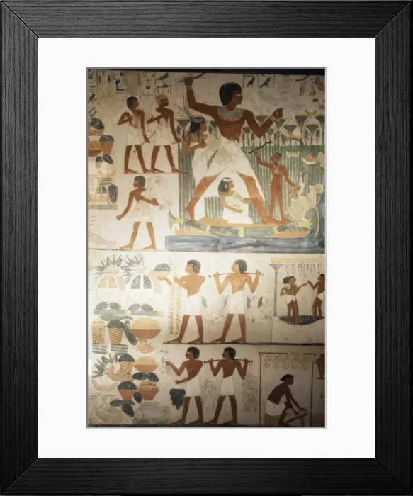 Framed Print : Paintings of scenes of everday life in the tomb of Nakht, Minister of Agriculture in the reign of Tutmosis IV, Valley of the Nobles, Thebes, UNESCO World Heritage Site, Egypt, North Framed Print : Paintings of scenes of everday life in the tomb of Nakht, Minister of Agriculture in the reign of Tutmosis IV, Valley of the Nobles, Thebes, UNESCO World Heritage Site, Egypt, North