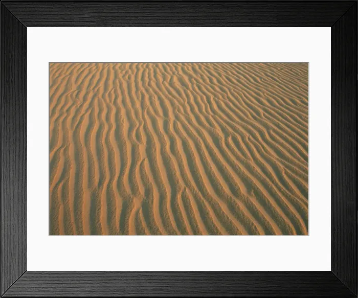 Framed Print : Sand ripples, between Kharga and Dakhla oases, Western Desert, Egypt, North Africa Framed Print : Sand ripples, between Kharga and Dakhla oases, Western Desert, Egypt, North Africa