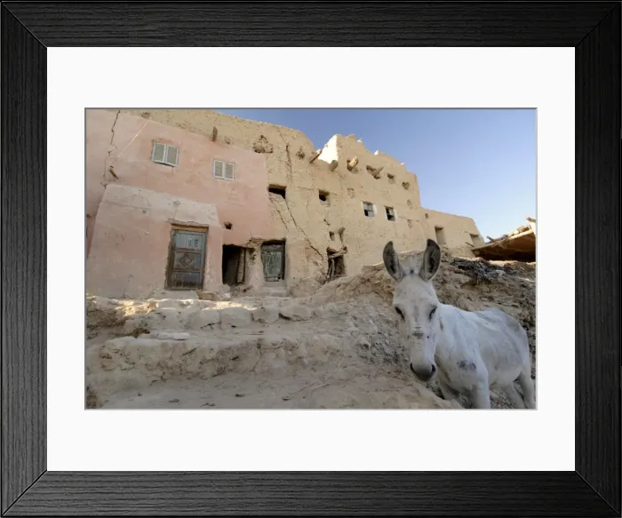 Framed Print : Old town of Shali, Oasis of Siwa, Egypt, North Africa, Africa Framed Print : Old town of Shali, Oasis of Siwa, Egypt, North Africa, Africa