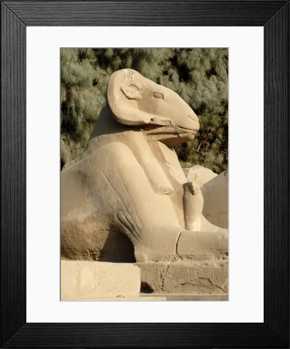 Framed Print : Ram headed sphinx, Temple of Karnak, near Luxor, Thebes, UNESCO World Heritage Site Framed Print : Ram headed sphinx, Temple of Karnak, near Luxor, Thebes, UNESCO World Heritage Site