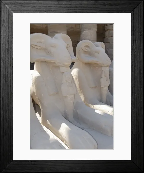 Framed Print : Ram headed sphinxes, Temple of Karnak, near Luxor, Thebes, UNESCO World Heritage Site Framed Print : Ram headed sphinxes, Temple of Karnak, near Luxor, Thebes, UNESCO World Heritage Site