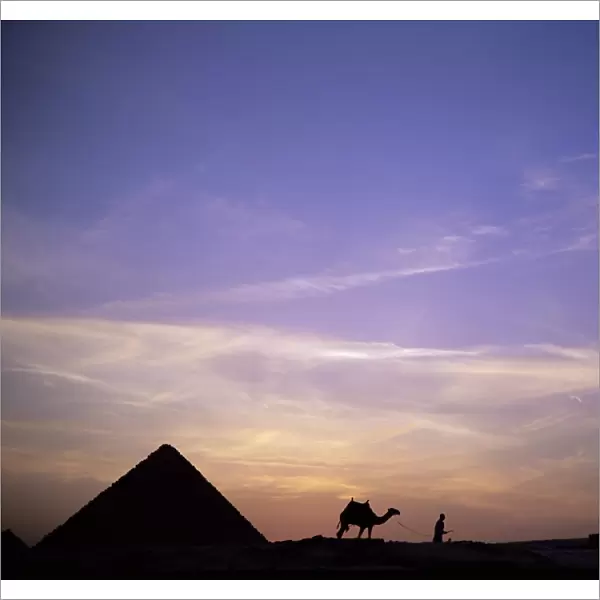 Camel and pyramid in silhouette, Giza, near Cairo, Egypt, North Africa, Africa
