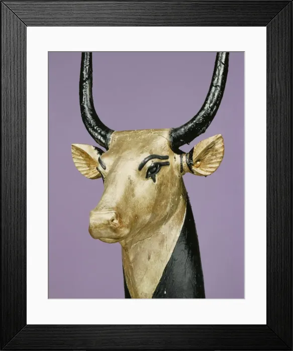 Framed Print : Gilded and stuccoed wooden head of the sacred cow, from the tomb of the pharaoh Tutankhamun Framed Print : Gilded and stuccoed wooden head of the sacred cow, from the tomb of the pharaoh Tutankhamun