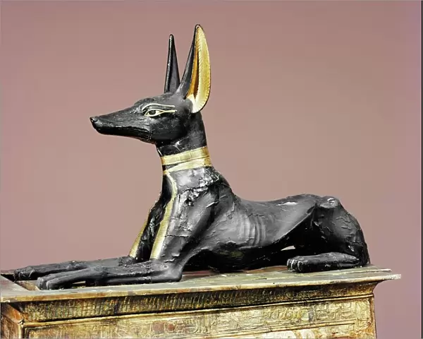 The king in the form of the god Anubis, from the tomb of Tutankhamun, discovered in the Valley of the Kings, Thebes, Egypt, North