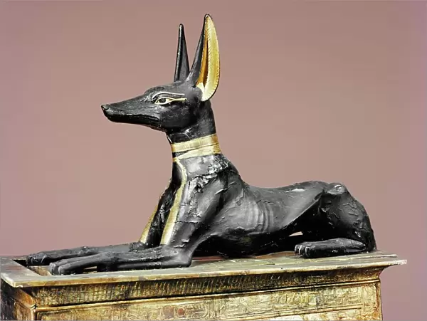 The king in the form of the god Anubis, from the tomb of Tutankhamun, discovered in the Valley of the Kings, Thebes, Egypt, North
