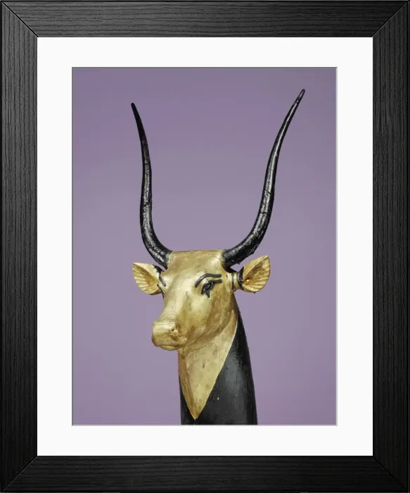 Framed Print : Gilded and stuccoed wooden head of the sacred cow, from the tomb of the pharaoh Tutankhamun Framed Print : Gilded and stuccoed wooden head of the sacred cow, from the tomb of the pharaoh Tutankhamun