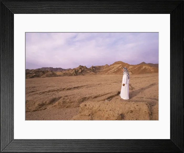 Framed Print : The Sinai desert, Egypt, North Africa, Africa Framed Print : The Sinai desert, Egypt, North Africa, Africa