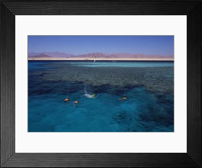 Framed Print : Nabaq National Park, Sharm El Sheikh (Sharm el-Sheikh), Egypt, North Africa, Africa Framed Print : Nabaq National Park, Sharm El Sheikh (Sharm el-Sheikh), Egypt, North Africa, Africa