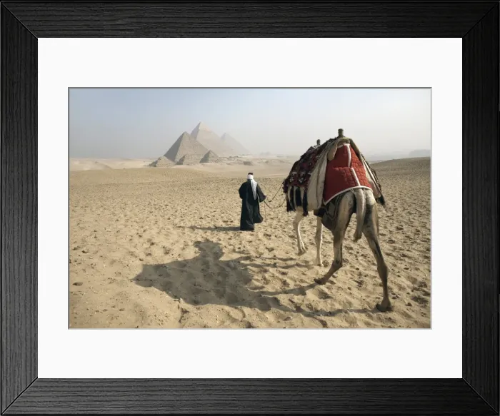 Framed Print : A Bedouin guide and camel approaching the Pyramids of Giza, UNESCO World Heritage Site, Cairo, Egypt, North Africa Framed Print : A Bedouin guide and camel approaching the Pyramids of Giza, UNESCO World Heritage Site, Cairo, Egypt, North Africa