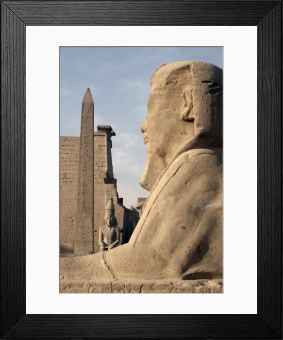 Framed Print : A sphinx stands in front of Luxor Temple, Luxor, Thebes, UNESCO World Heritage Site Framed Print : A sphinx stands in front of Luxor Temple, Luxor, Thebes, UNESCO World Heritage Site