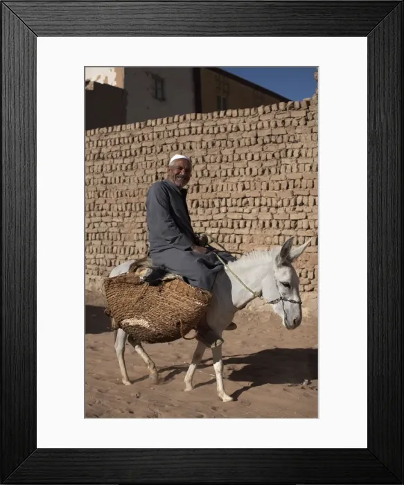 Framed Print : A man rides his mule through the streets of Al-Qasr, Dakhla Oasis, Egypt Framed Print : A man rides his mule through the streets of Al-Qasr, Dakhla Oasis, Egypt