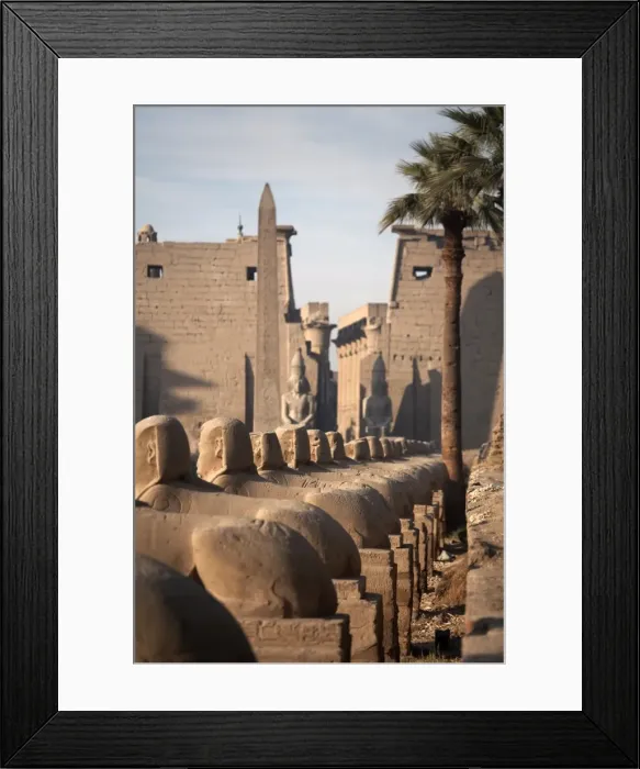 Framed Print : Avenue of the sphinxes leading to Luxor Temple, Luxor, Thebes, UNESCO World Heritage Site Framed Print : Avenue of the sphinxes leading to Luxor Temple, Luxor, Thebes, UNESCO World Heritage Site