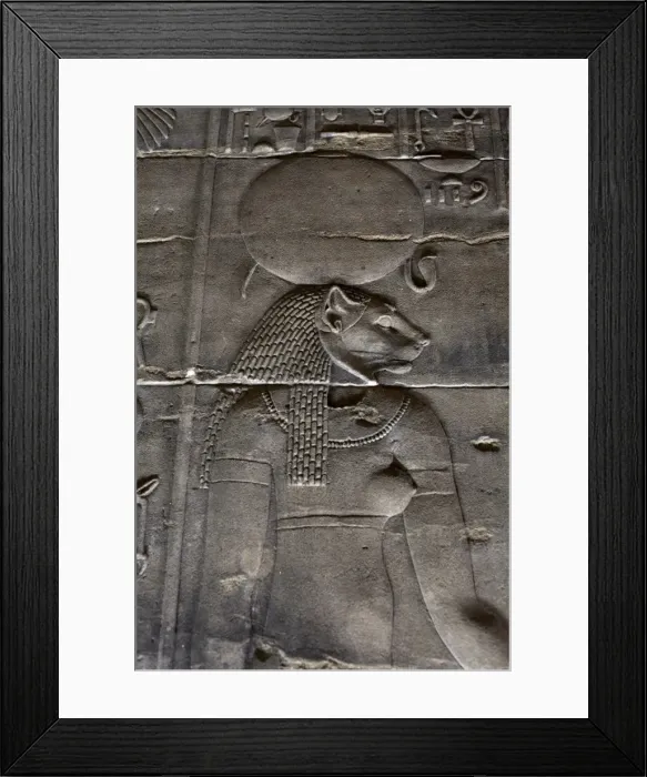Framed Print : Relief carvings adorn the walls of the Temple of Philae, UNESCO World Heritage Site Framed Print : Relief carvings adorn the walls of the Temple of Philae, UNESCO World Heritage Site