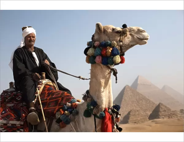 A Bedouin guide with his camel, overlooking the Pyramids of Giza, Cairo