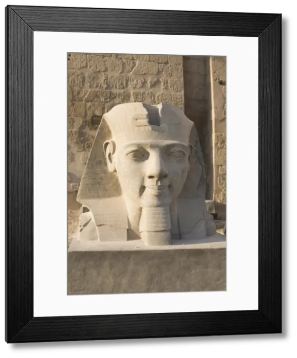 Framed Print : Statue of Ramesses II, Luxor Temple, Luxor, Thebes, UNESCO World Heritage Site Framed Print : Statue of Ramesses II, Luxor Temple, Luxor, Thebes, UNESCO World Heritage Site