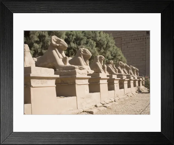 Framed Print : Avenue of Rams leading to temple precinct, Karnak, near Luxor, Thebes, UNESCO World Heritage Site Framed Print : Avenue of Rams leading to temple precinct, Karnak, near Luxor, Thebes, UNESCO World Heritage Site