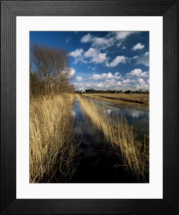 Framed Print : Wicken Fen, Cambridgeshire, England, United Kingdom, Europe Framed Print : Wicken Fen, Cambridgeshire, England, United Kingdom, Europe
