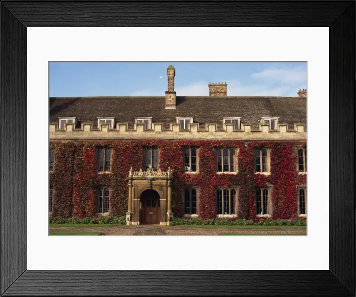 Framed Print : Courtyard, Trinity College, Cambridge, Cambridgeshire, England, United Kingdom, Europe Framed Print : Courtyard, Trinity College, Cambridge, Cambridgeshire, England, United Kingdom, Europe