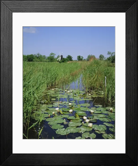 Framed Print : Wicken Fen and wind pump, Cambridgeshire, England, UK