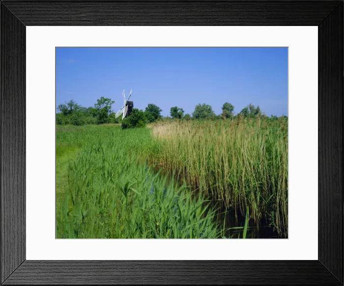Framed Print : Wicken Fen and Wind pump, Cambridgeshire, England Framed Print : Wicken Fen and Wind pump, Cambridgeshire, England
