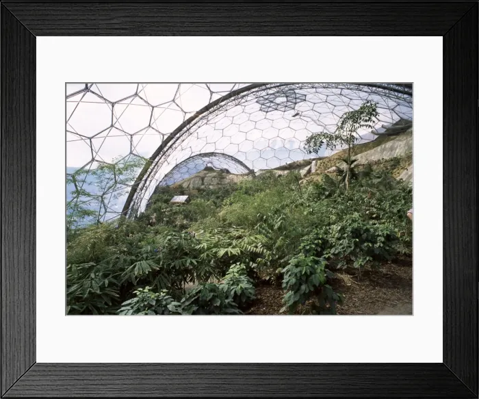 Framed Print : Biome interior, The Eden Project, near St. Austell, Cornwall, England, United Kingdom Framed Print : Biome interior, The Eden Project, near St. Austell, Cornwall, England, United Kingdom