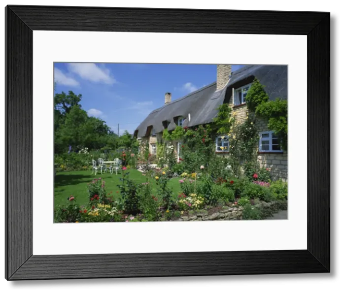 Framed Print : Thatched cottages with roses on the walls and gardens with summer flowers in the Cotswolds Framed Print : Thatched cottages with roses on the walls and gardens with summer flowers in the Cotswolds