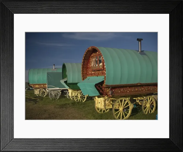 Framed Print : Horse drawn hooped caravans, Appleby annual horse fair, Eden Valley, Lake District