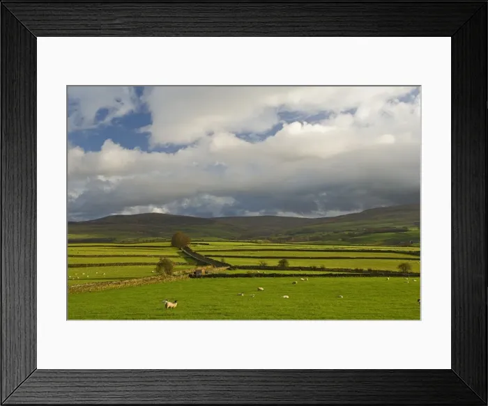 Framed Print : Dry stone walls below the Pennines, Eden Valley, Cumbria, England, United Kingdom, Europe Framed Print : Dry stone walls below the Pennines, Eden Valley, Cumbria, England, United Kingdom, Europe