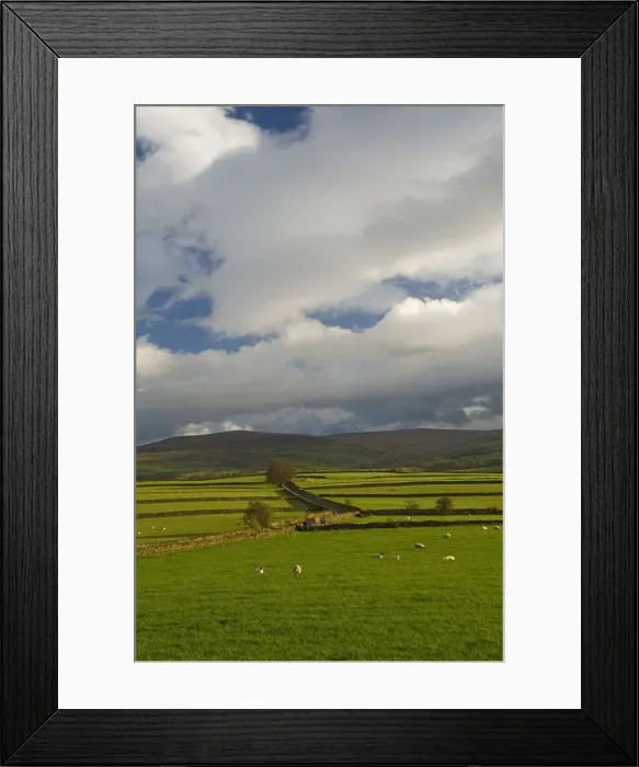 Framed Print : Dry stone walls below the Pennines, Eden Valley, Cumbria, England, United Kingdom, Europe Framed Print : Dry stone walls below the Pennines, Eden Valley, Cumbria, England, United Kingdom, Europe
