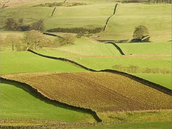 Patchwork of fields, lower slopes of Pennines, Eden Valley, Cumbria, England