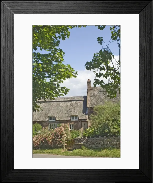 Framed Print : Original stone built and thatched cottage, circa 17th century, Eden Valley Framed Print : Original stone built and thatched cottage, circa 17th century, Eden Valley