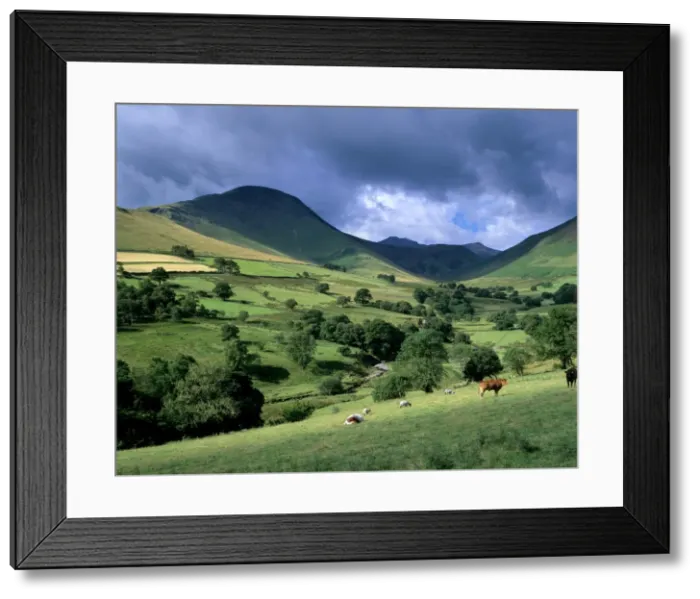 Framed Print : Keskadale and Derwent Fells near Keswick, Lake District National Park, Cumbria Framed Print : Keskadale and Derwent Fells near Keswick, Lake District National Park, Cumbria
