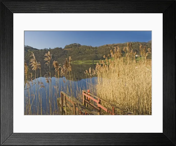 Framed Print : Lake Grasmere, Lake District National Park, Cumbria, England, United Kingdom, Europe Framed Print : Lake Grasmere, Lake District National Park, Cumbria, England, United Kingdom, Europe