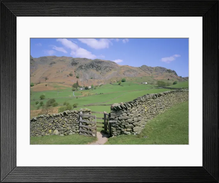 Framed Print : Stone wall, fields and Lingmoor Fell, Little Langdale, Lake District, Cumbria Framed Print : Stone wall, fields and Lingmoor Fell, Little Langdale, Lake District, Cumbria