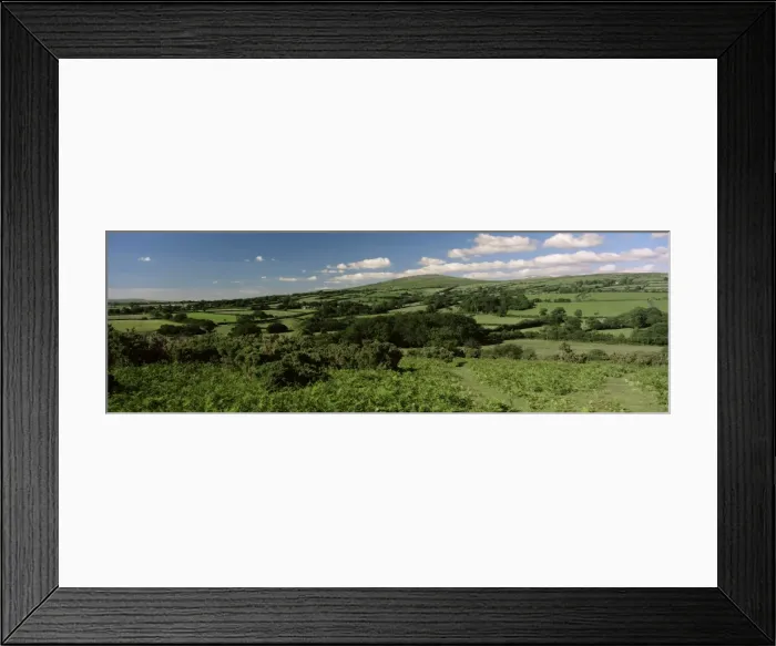 Framed Print : Scene near Low Town, Dartmoor, south Devon, England, United Kingdom, Europe Framed Print : Scene near Low Town, Dartmoor, south Devon, England, United Kingdom, Europe