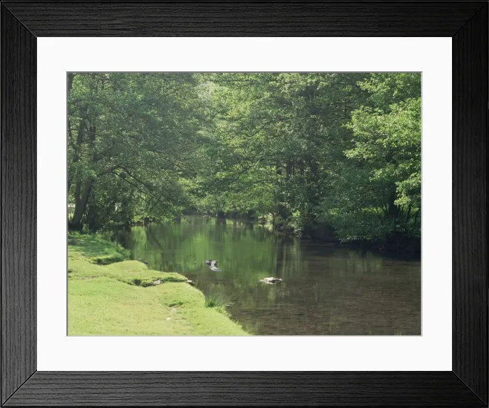 Framed Print : Dovedale (Dove Dale), Derbyshire, England, United Kingdom, Europe Framed Print : Dovedale (Dove Dale), Derbyshire, England, United Kingdom, Europe